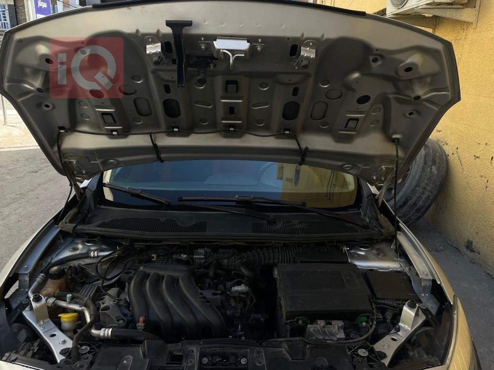 رينو فلوينس